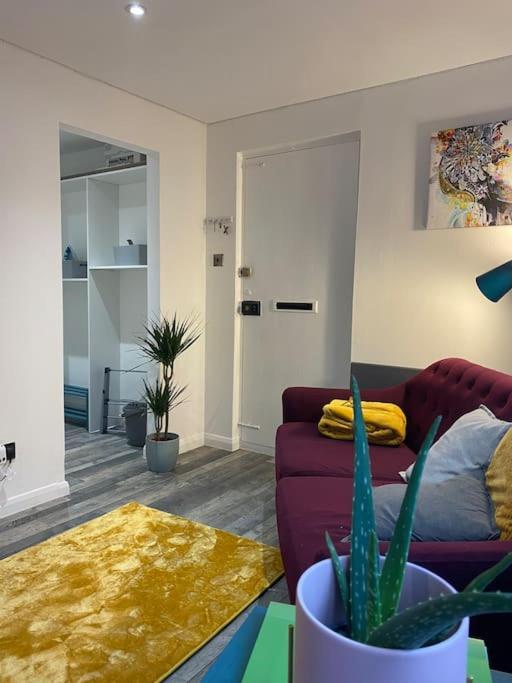 Cosy Studio Apartment Уотърлувил Екстериор снимка